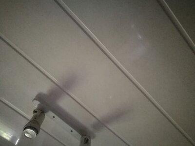 2544, Photo  46 