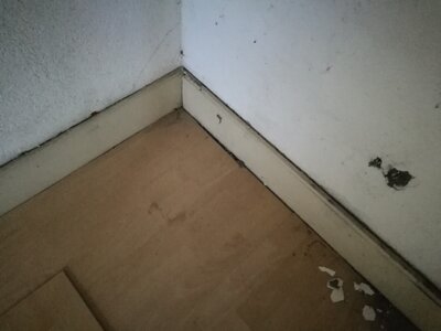2544, Photo  42 