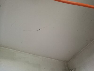 2544, Photo  33 