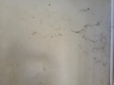 2544, Photo  32 