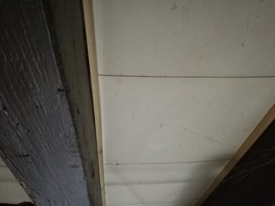 2544, Photo  16 
