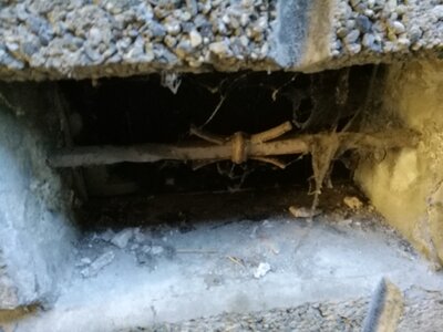 2544, Photo  9 