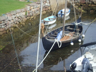  Ecosse de Thibault , DSC00578