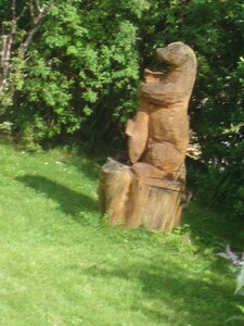  Ecosse de Thibault , DSC00580