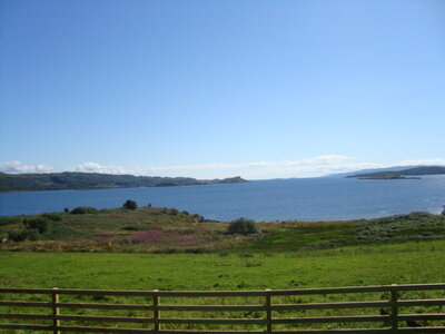  Ecosse de Thibault , DSC00661