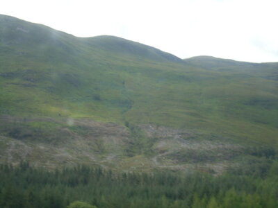  Ecosse de Thibault , DSC00712