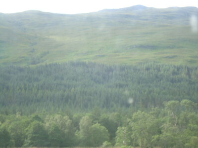  Ecosse de Thibault , DSC00713