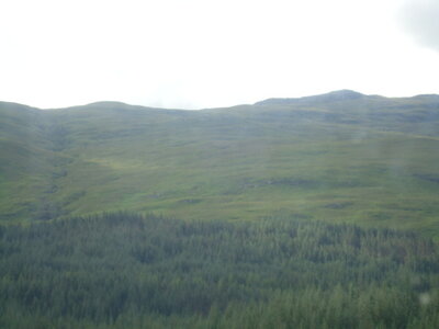  Ecosse de Thibault , DSC00714