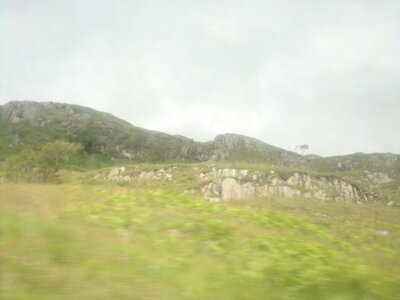  Ecosse de Thibault , DSC00725