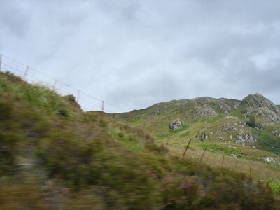  Ecosse de Thibault , DSC00731