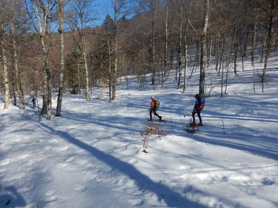 Vercors 2019 le 24 Février Fond d'Urle, DSCN9044  Copier 