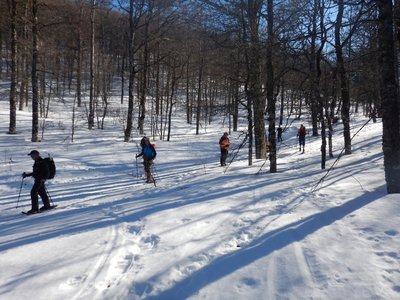 Vercors 2019 le 24 Février Fond d'Urle, DSCN9045  Copier 