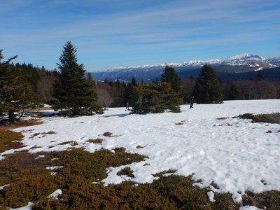 Vercors 2019 le  25 Février Le tour des crêtes de Vassieux, DSCN9080