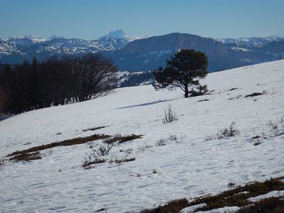 Vercors 2019 le  25 Février Le tour des crêtes de Vassieux, DSCN9082