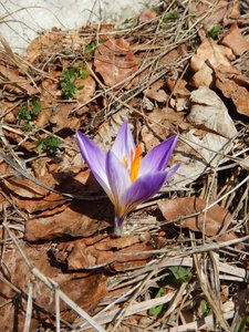 Vercors 2019 le  25 Février Le tour des crêtes de Vassieux, DSCN9095