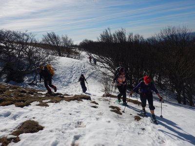 Vercors 2019 le  25 Février Le tour des crêtes de Vassieux, DSCN9108