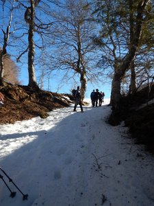 Vercors 2019 le  25 Février Le tour des crêtes de Vassieux, DSCN9122