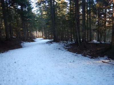 Vercors 2019 le  25 Février Le tour des crêtes de Vassieux, DSCN9128