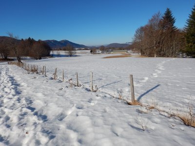 Vercors 2019 le  25 Février Le tour des crêtes de Vassieux, DSCN9130