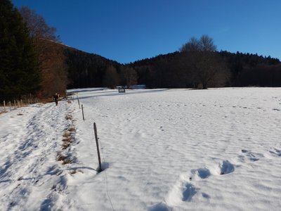 Vercors 2019 le  25 Février Le tour des crêtes de Vassieux, DSCN9131
