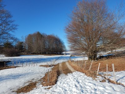 Vercors 2019 le  25 Février Le tour des crêtes de Vassieux, DSCN9132