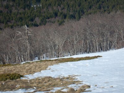 Vercors 2019 le 28 Février Le refuge de Tubanet depuis Fond d'Urle, DSCN9256