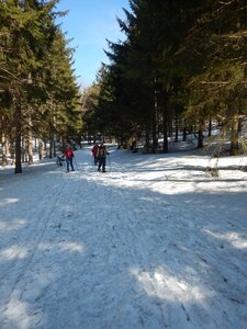 Vercors 2019 le 28 Février Le refuge de Tubanet depuis Fond d'Urle, DSCN9288