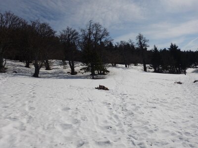 Vercors 2019 le 28 Février Le refuge de Tubanet depuis Fond d'Urle, DSCN9291