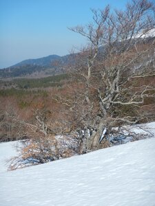 Vercors 2019 le 28 Février Le refuge de Tubanet depuis Fond d'Urle, DSCN9298