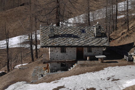 2019-03-20-23-seminaire-ski, seminaire-ski-monterosa-2019-03-20-23-084