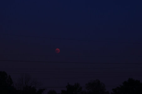 Zèbres, Eclipse de Lune (alsace)