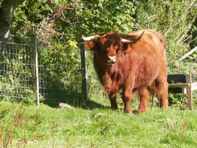 Catherine et Phil, 100_0447