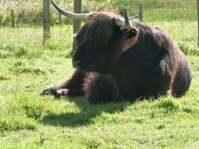 Catherine et Phil, 100_0449
