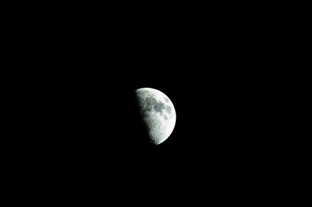 Zèbres, lune soir