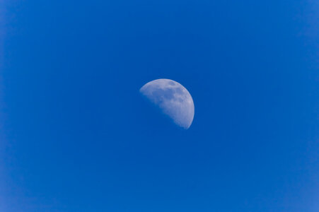 Zèbres, lune