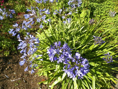 Catherine et Phil, 100_0602