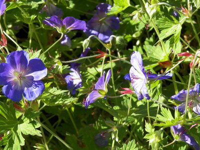 Catherine et Phil, 100_0603