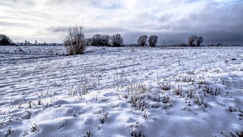 Zèbres, panorama HDR