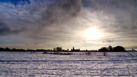Zèbres, panorama humanicité