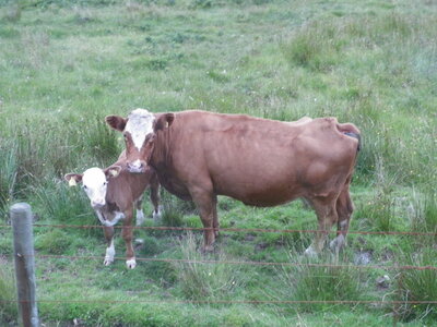 Catherine et Phil, 100_0626