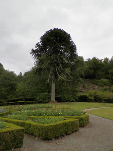 Catherine et Phil, 100_0655