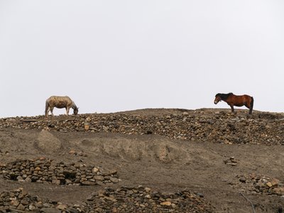 Népal_2019, P1000461