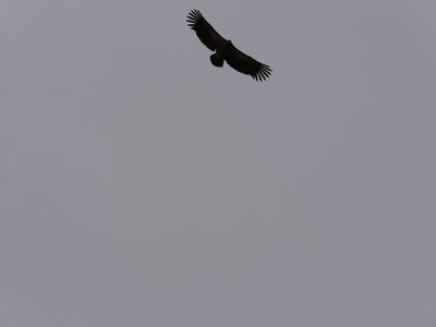 Népal_2019, P1000502