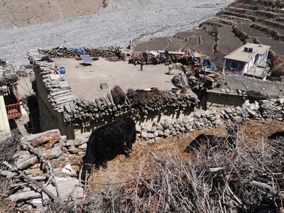 Népal_2019, P1000795