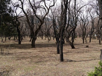 Népal_2019, P1000878