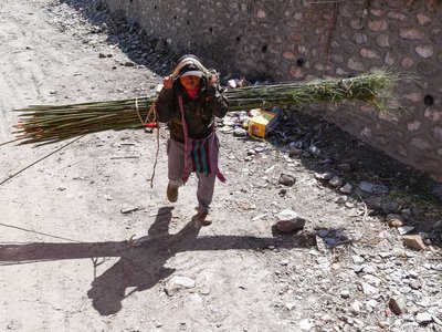 Népal_2019, P1000942