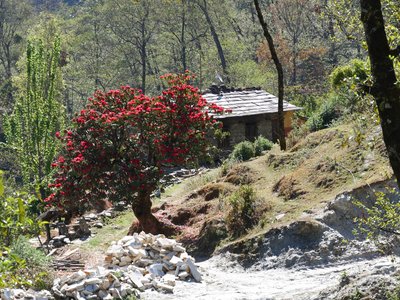 Népal_2019, P1000955