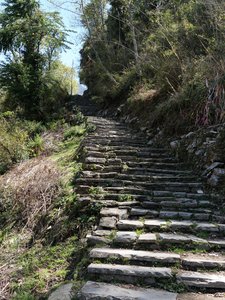 Népal_2019, P1000967