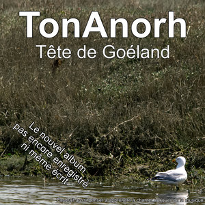 Baie de Somme, album