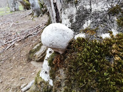 L'Oudérou, IMG_20190427_155741
